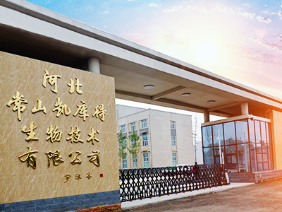 河北常山凯库得生物技术有限做爱片
