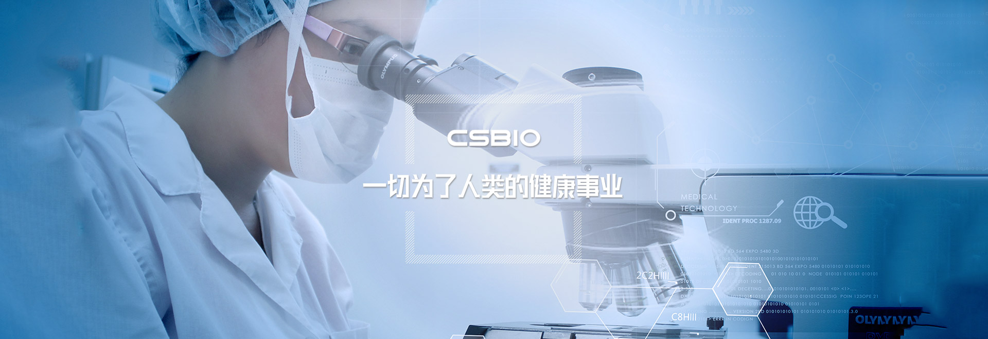 做爱片
